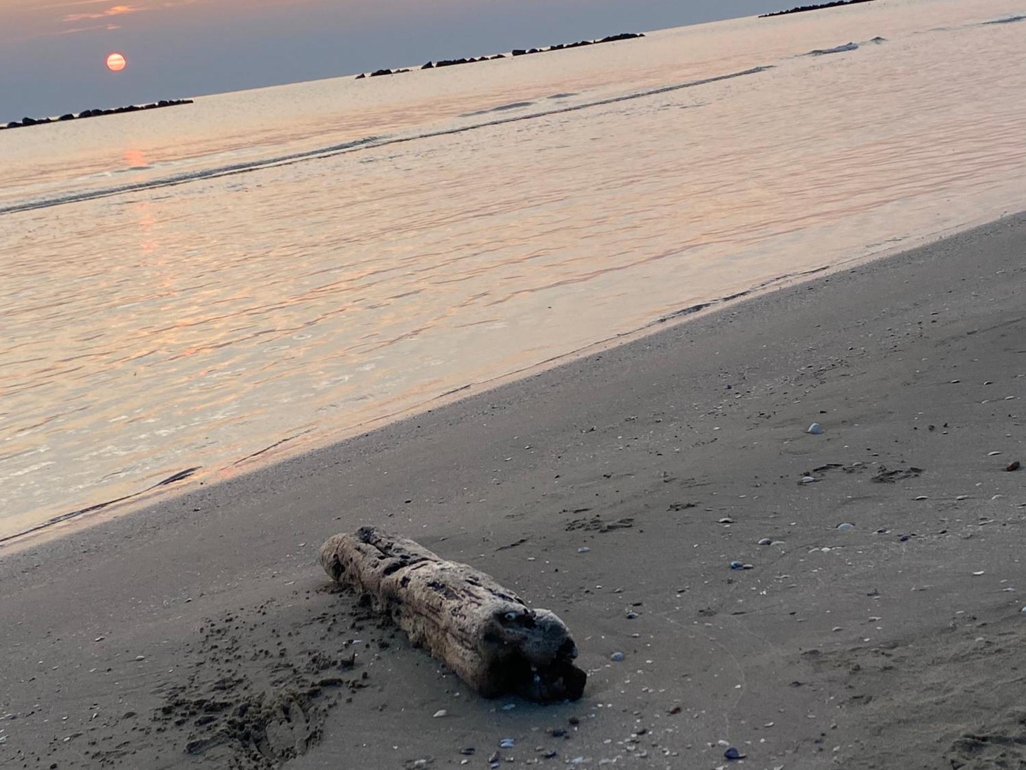 Seta Luxury Lägenhet Roseto Degli Abruzzi Exteriör bild