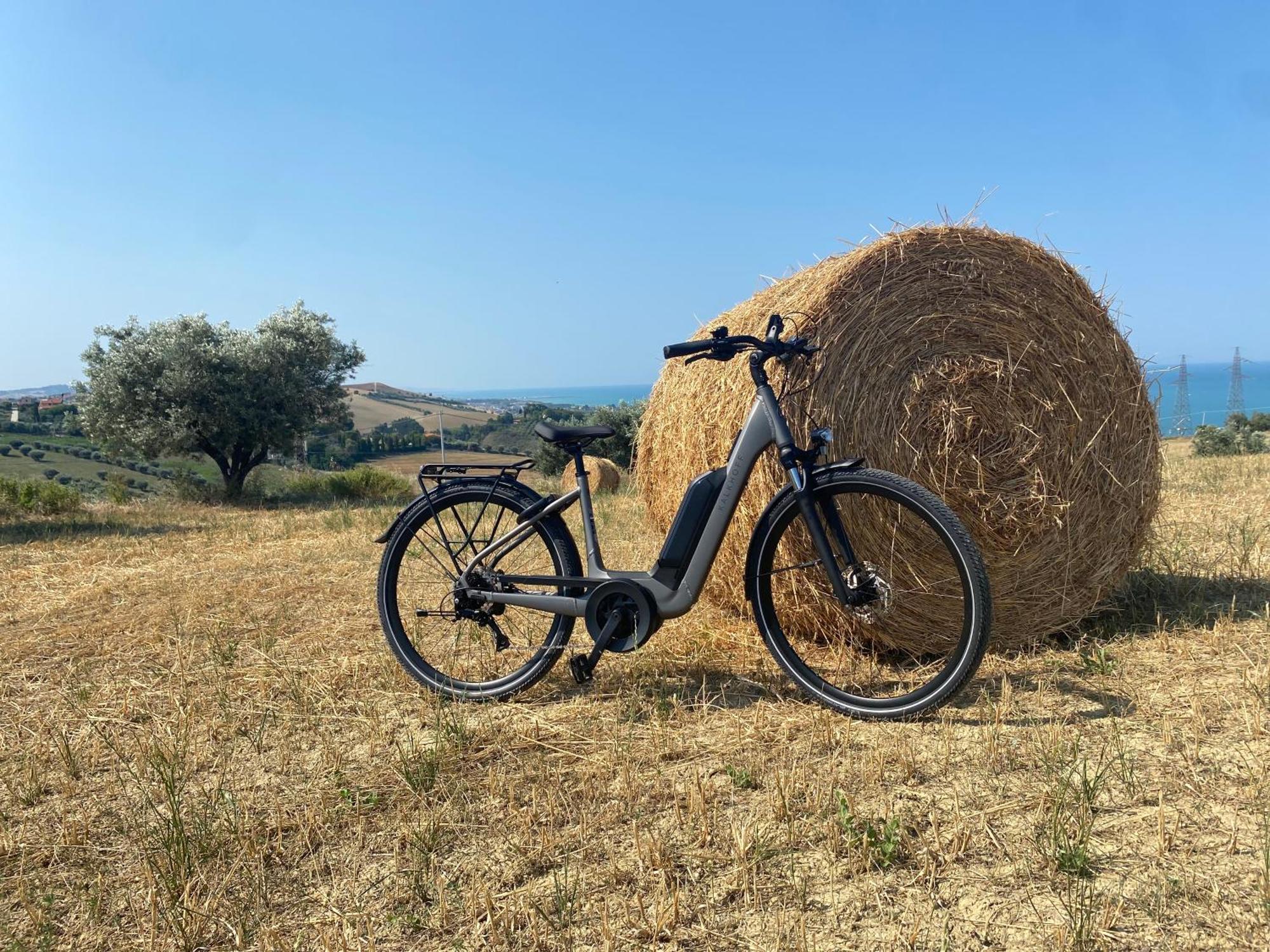Seta Luxury Lägenhet Roseto Degli Abruzzi Exteriör bild